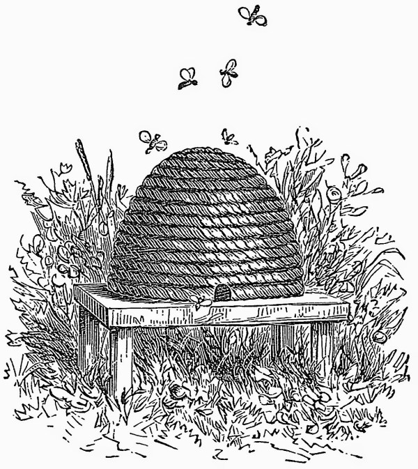 The Skep: The Symbol of the Artisan &#8211