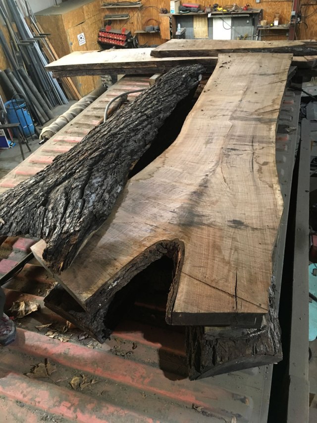 Giant Live-edge Walnut Slabs for Sale &#8211