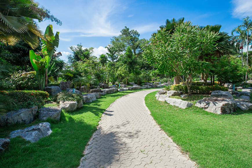 A lush park with a walking path