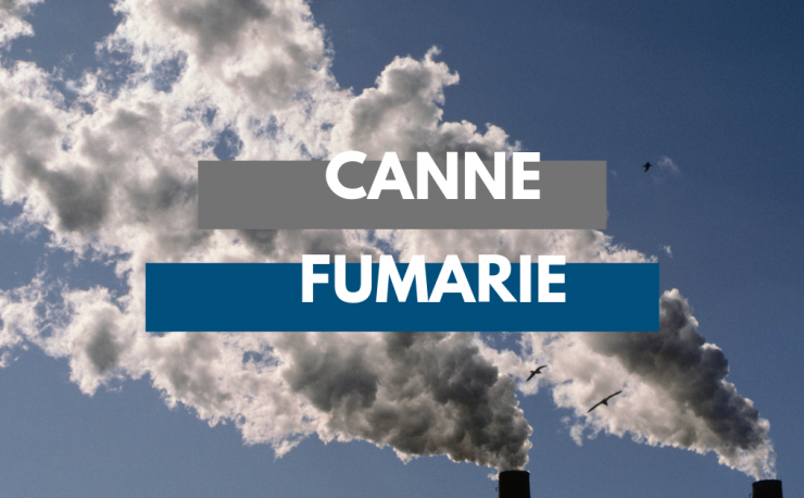 Canne Fumarie per Impianti Industriali. Perché Scegliere l’Inox?