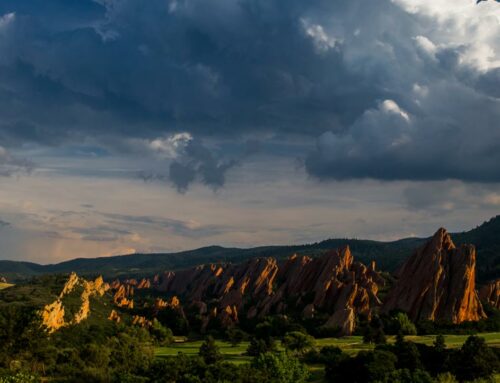 This Landscape Blew our Minds